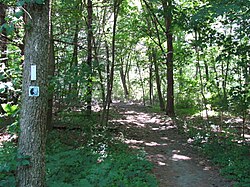 Abschnitt des Wanderwegs in Concord