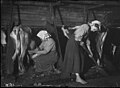 Traite et collecte du fumier, Värmland, Suède, 1911. Remarquer les conditions de travail, à comparer à celles des étudiants de Liebig.