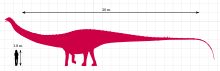 Dinheirosaurus chart