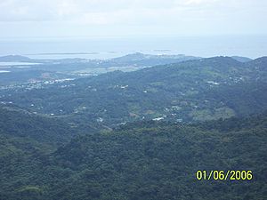 View from the Lighthouse