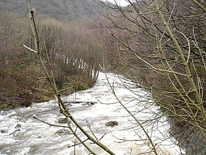 English: Fast flowing. The fast flowing river ...