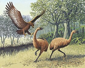 representação artística de uma águia de Haast atacando um par de moas