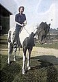 Photographie colorisée. Au centre, Janet Rosenberg coiffée et vêtue à la garçonne montant un cheval à la robe pie tovero. Le cheval est à l'arrêt. Le paysage est rural et le ciel dégagé.