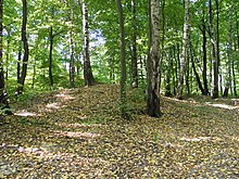 Kleczanow Forest, a sacred forest in Poland located in the vicinity of the village Kleczanow. Kleczanow - cmentarzysko cialopalne z VIII-X w.jpg