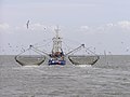 A shrimp trawler near Südfall