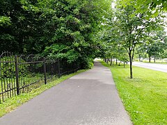 Тротуар вдоль Алтуфьевского лесопарка на улице Лескова