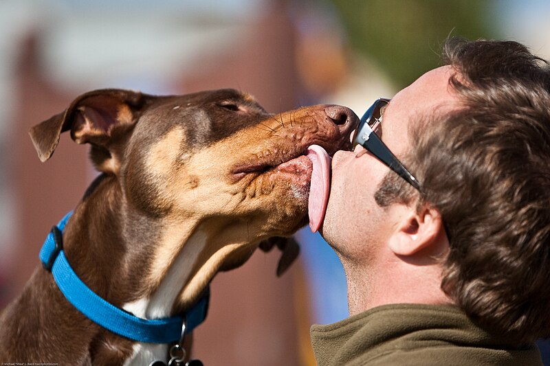 Doggie kiss
