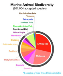 Taxonomic biodiversity of accepted marine species, according to WoRMS, 18 October 2019. Marine animal biodiversity.png