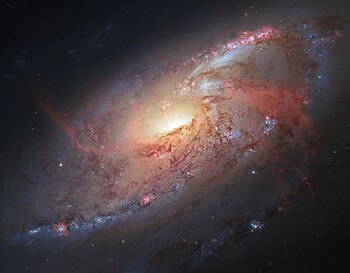 صُورة لِمجرَّة مسييه 106 الحلزونيَّة التي تبعد عن الأرض مسافة تتراوح بين 22 و25 مليون سنة ضوئية. هي مجرة جارة لِمجرَّة درب التبَّانة حسب المعايير الكونيَّة وواحدة من أكبر وألمع المجرَّات القريبة. حجمها ودرجة سطوعها مماثلان لمجرَّة المرأة المُسلسلة. ويوجد في مركزها ثقب أسود فائق