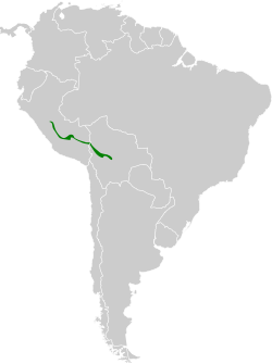 Distribución geográfica del hemispingo trilistado.