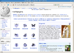 Miniatuur voor Webbrowser