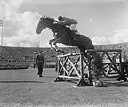 1953: Paardensprong