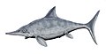 Ophthalmosaurus, matelija.