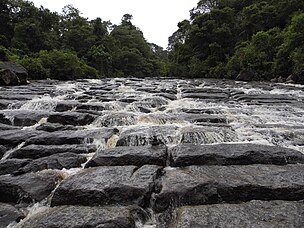 Parque Cueva de los Guacharos