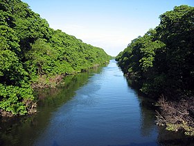 Rio Cocó em Fortaleza.jpg