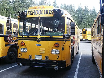 1979 Gillig Transit Coach Model VTF555D