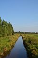 An der Straße „Jevenstedter Feld“ in Jevenstedt