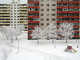 Прийсле снежной зимой 2010 года