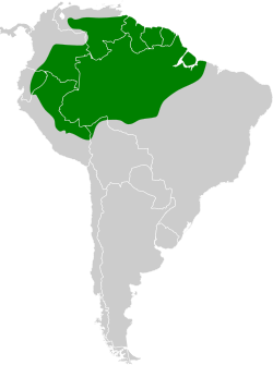 Distribución geográfica del mosquero matorralero amazónico.