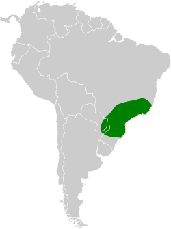 Distribución geográfica del pijuí coroninegro.