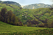 View of Tecșești