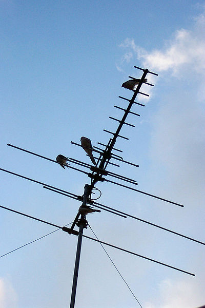 400px-Television_Antenna.jpg