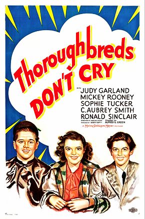 Description de l'image Thoroughbreds Don't Cry poster.jpg.