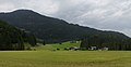 zwischen Griesenau und Schwendt, Panorama vom Kohlamweg