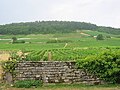 Vignette pour Gevrey-chambertin (AOC)