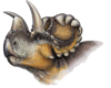 restoration of Wendiceratops