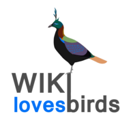 Wiki Loves Birds Logo