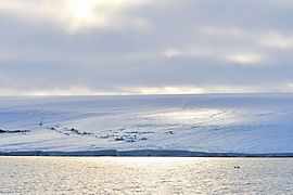 Вид на ледник Академии наук из бухты Журавлева