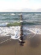 Buhne in Zingst, Halbinsel Fischland-Darß-Zingst, Ostsee