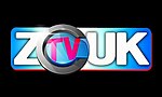 Vignette pour Zouk TV