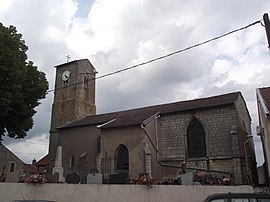 The church in Parey-Saint-Césaire