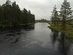 Вид по течению