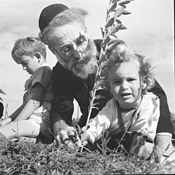 Planting trees for Tu BiShvat, 1945. Photographer: Zoltan Kluger