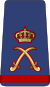 14. KAF-MG.svg