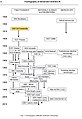 2009 - 'A HISTORY OF THE FRACTOGRAPHY OF BRITTLE MATERIALS' (G. Quinn): Chronology with Charles de Fréminville when he worked at Panhard & Levassor with his brother-in-law A. C. KREBS