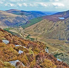 View south-east from summit of Benleagh