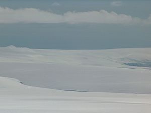 Blick vom Kuzman Knoll auf den Berkowiza-Gletscher