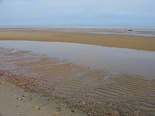 Mudflats in Brewster, Massachusetts, United States, extending hundreds of yards offshore at the low tide. The line of wrack and seashells in the foreground indicates the high-water mark. Brewster mudflat.jpg
