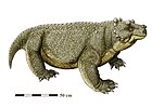 Bunostegos akokanensis