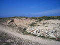 Castro do Porto de Baixo.