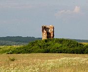 Ruins of Adrian Fortress in Sălard