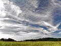 Image 8Cirrus clouds are composed of ice crystals and shaped like hairlike filaments. They are formed at an altitudes above 5000 metres (16,500 feet). The streaks are made of snowflakes that are falling from the cloud and being caught by the high level winds. The streaks point in the direction of the wind and may appear straight giving the clouds the appearance of a comma (cirrus uncinus), or may by seem tangled, an indication of high level turbulence. (Credit: Piccolo Namek.) (from Portal:Earth sciences/Selected pictures)