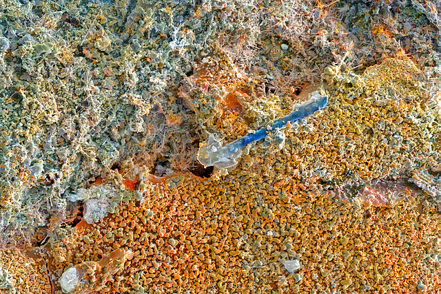 Электронная микрофотография вулканических сублиматов (минералов) в натуральных цветах. Разноцветные микронные кристаллы йодида таллия таллия Tl — I от оранжевых до зеленоватых на стекловидной подложке из оранжевого сульфида мышьяка. Ярко-синий кристалл — хлорид натрия NaCl (галит), в обычных условиях это бесцветный минерал (обычная поваренная соль). Но при дефиците атомов натрия в кристаллической решётке галит может окрашиваться в синий цвет. Размер фотографии около 700 мк по длинной стороне. Автор: Зеленский Михаил Евгеньевич (Ppm61). Вклад автора (серия фотографий).