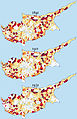 2011년 8월 1일 (월) 22:40 판의 섬네일