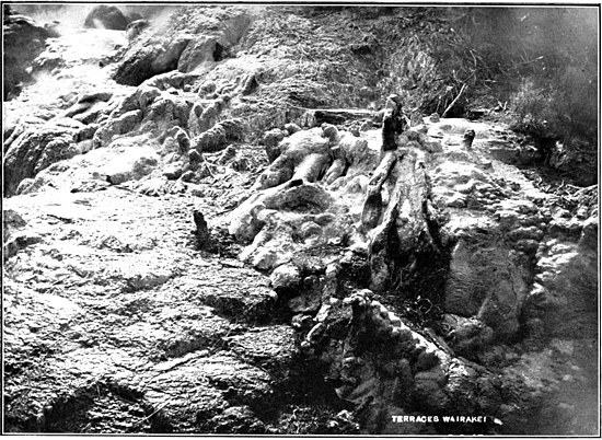 "Barren landscape with boiling pools and geysers"