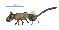 Illustration montrant de profil deux dinosaures de taille similaire : un quadrupède dont la tête porte une collerette, et un bipède couvert de plumes et avec une longue queue.